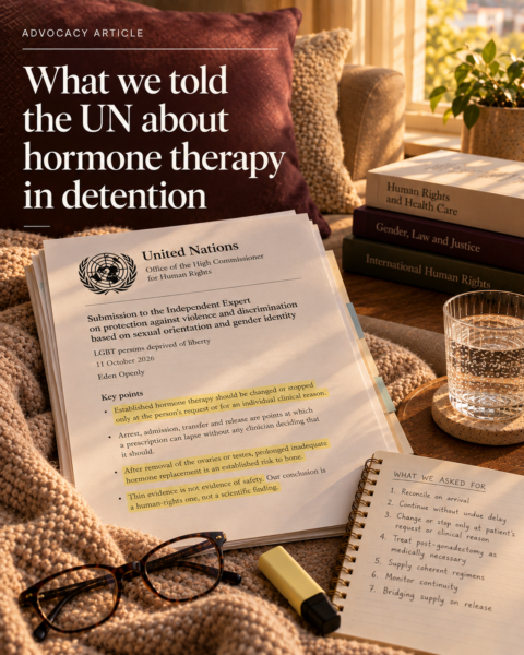 What we told the UN about hormone therapy in detention